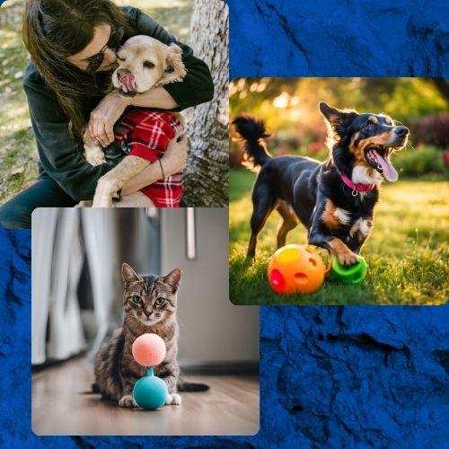 Pet Care & Toys